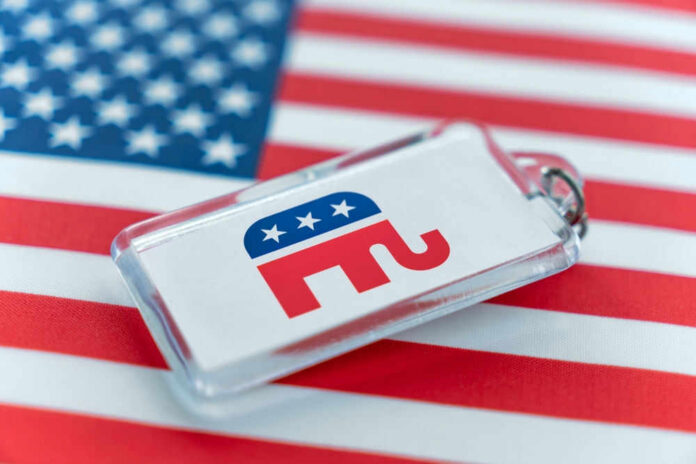 Republican elephant keychain on American flag background