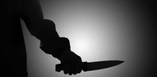 Silhouette of a hand holding a knife against a light background