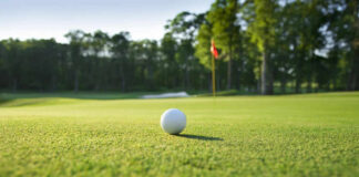 Golf ball on grassy golf course near hole