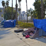 Tents and tarps line sidewalk near palm trees