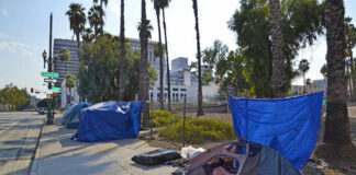Tents and tarps line sidewalk near palm trees