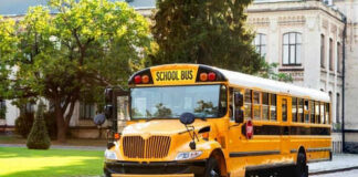 Yellow school bus parked on suburban street