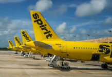 Yellow Spirit Airlines planes parked at the airport.
