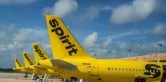Yellow Spirit Airlines planes parked at the airport.