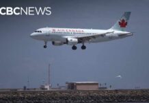Former Air Canada captain allegedly flew hundreds of flights without proper licence: police