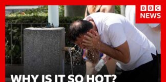 Why is it so hot and when will European heatwave end? | BBC News