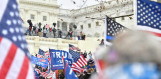 Crowd with flags near a government building