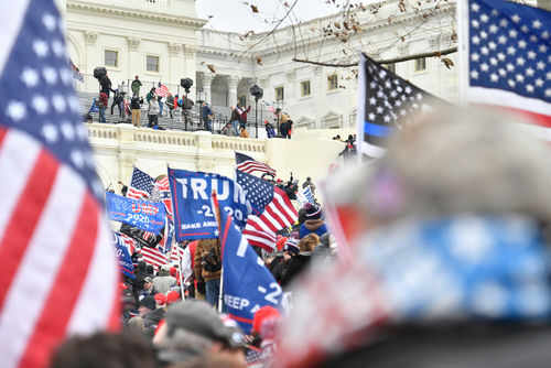 Crowd with flags near a government building
