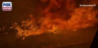 Wild Video Shows Freight Train Surrounded By Huge Flames in Canada