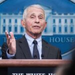 ‘Self-obsessed’: COVID pandemic diary entries expose Anthony Fauci's fixation on fame