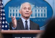 ‘Self-obsessed’: COVID pandemic diary entries expose Anthony Fauci's fixation on fame