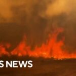For the first time, Spain declares national emergency for wildfires