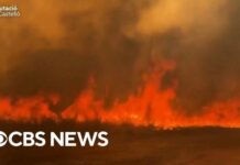 For the first time, Spain declares national emergency for wildfires