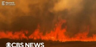 For the first time, Spain declares national emergency for wildfires