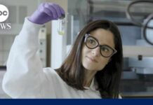 Personalized mRNA-based cancer vaccine shows promise