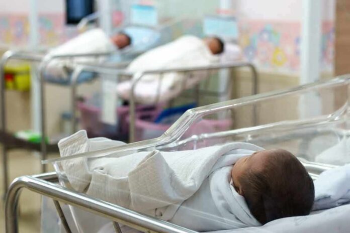 newborns in hospital bassinets