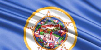 Minnesota state flag with detailed seal on blue field