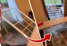 College Move-In Turns Into A Flooding Nightmare Floodwaters Bursts Through NJ University Students' Home in 'Titanic Moment'