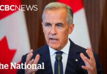 Canadian counter-tariffs go into effect