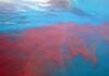 NOAA Alarm: Winter Pattern Flip Coming Aerial view of red bloom spreading across blue ocean water
