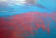 Aerial view of red bloom spreading across blue ocean water