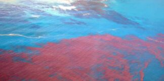 Aerial view of red bloom spreading across blue ocean water