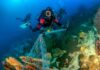 Scuba diver removing fishing net from coral reef