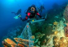 Scuba diver removing fishing net from coral reef