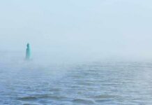 Green buoy in foggy sea