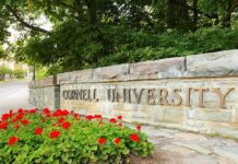 Cornell University stone entrance sign with red flowers