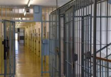 Prison corridor with barred doors