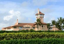 Mediterranean-style seaside mansion with tower and palm trees