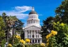 A Massive Pension Payout Reveals an Unusual Divide Capitol building with white dome framed by trees and yellow flowers